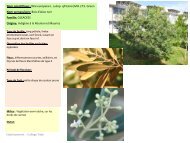 Diapositive 1 - svt - acadÃ©mie de la rÃ©union