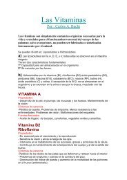 Las Vitaminas.pdf - Canarias Racing Pigeon