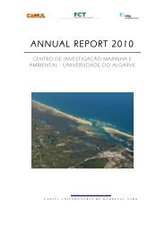 RelatorioCientifico2010 (4).pdf - CIMA - Universidade do Algarve