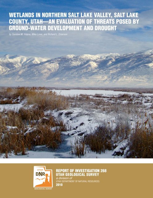 Wetlands in northern Salt Lake Valley, Salt Lake County, Utah