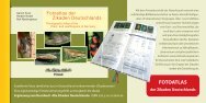 Flyer Fotoband Zikaden Deutschlands - Natur-in-NRW.de