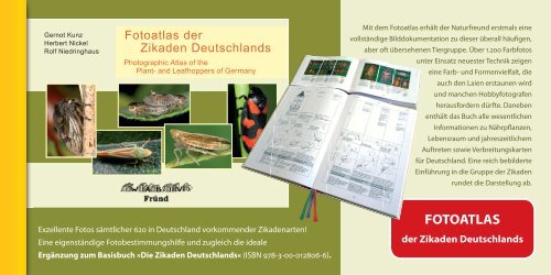 Flyer Fotoband Zikaden Deutschlands - Natur-in-NRW.de