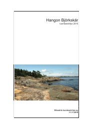 Luontoselvitys, Silvestris Oy (pdf) - Hanko