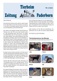 Auch den Hunden im Tierheim soll es gut gehen - Tierheim Paderborn
