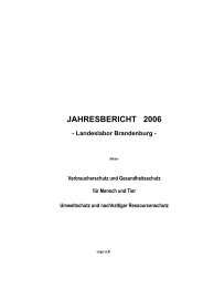JAHRESBERICHT 2006 - Landeslabor Berlin - Brandenburg