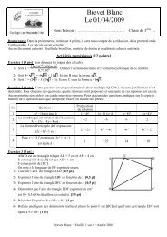 Brevet Blanc Le 01/04/2009