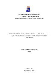 DISSERTAO - MRCIA - CCA/UFPb - Universidade Federal da ParaÃ­ba