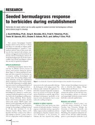 Seeded bermudagrass response to herbicides during ... - GCSAA