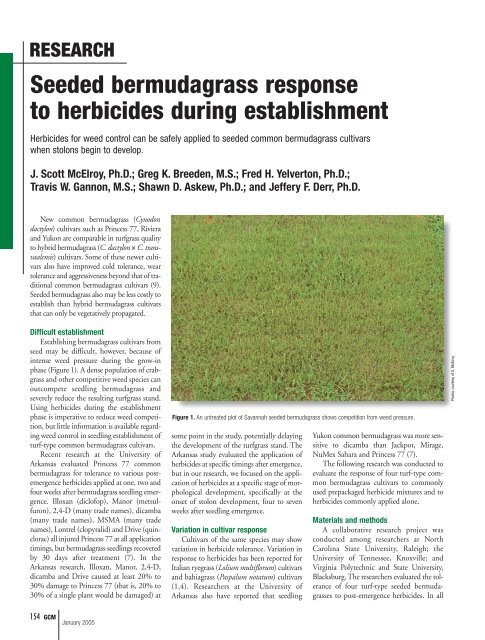 Seeded bermudagrass response to herbicides during ... - GCSAA