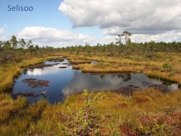 (paleo-)ökoloogilistes uuringutes