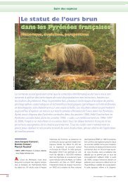 dans les PyrÃ©nÃ©es franÃ§aises Le statut de l'ours brun dans ... - Oncfs