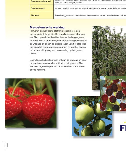 Folder Flint in de fruitteelt 1204 KB - Bayer CropScience