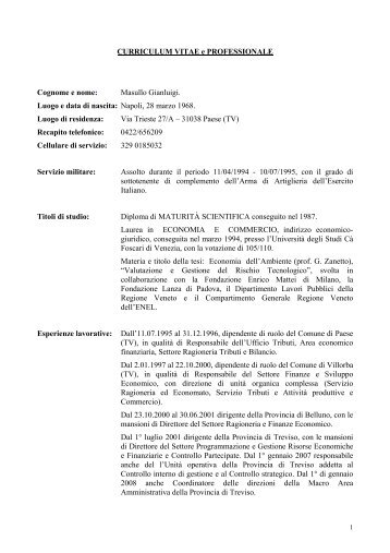 CURRICULUM VITAE e PROFESSIONALE - Provincia di Treviso