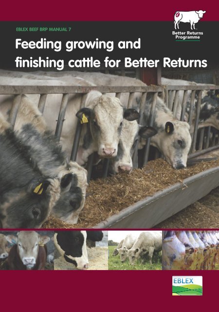 Feeding growing and finishing cattle for Better Returns manual - Eblex