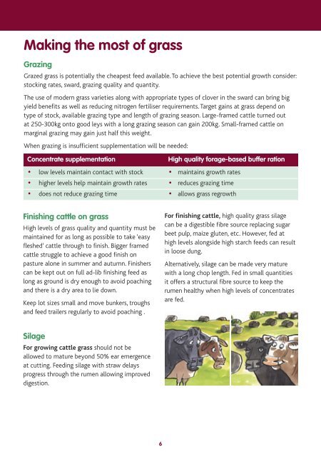 Feeding growing and finishing cattle for Better Returns manual - Eblex