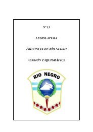 Nº 13 - Legislatura de Río Negro