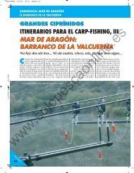 La pesca - Solopescaonline.es