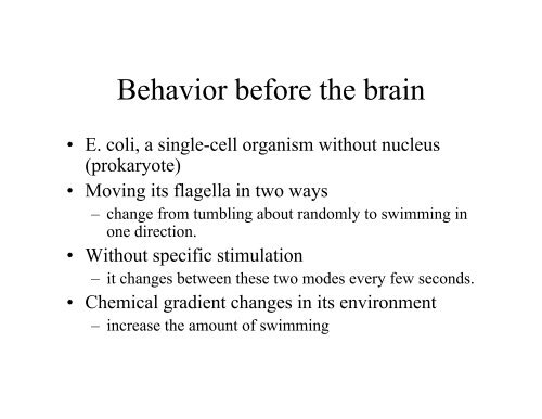 Embodied embedded cognition and cognitive neuroscience