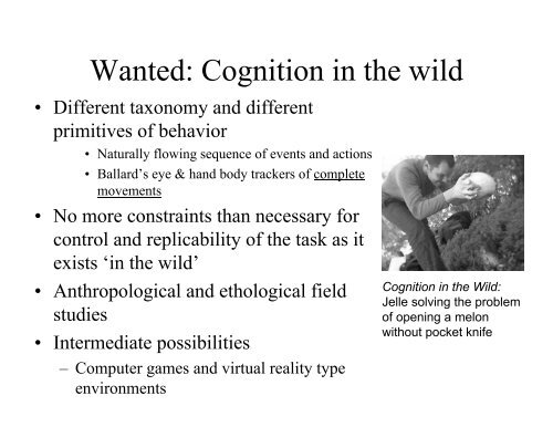 Embodied embedded cognition and cognitive neuroscience