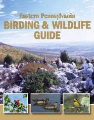 download the full guide - Lehigh Gap Nature Center
