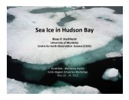 Sea Ice in Hudson Bay (Klaus P. Hochheim) - Arcticnetmeetings.ca