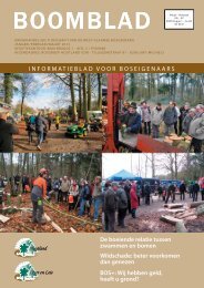 BOSINFO - Brugse verenigingen