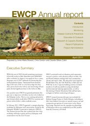 pdf -600 KB - Ethiopian Wolf Conservation Programme