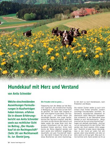 Hundekauf mit Herz und Verstand