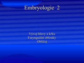 Embryologie 2