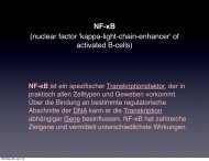 NF-ÎºB (nuclear factor 'kappa-light-chain-enhancer' of ... - drkohlhepp