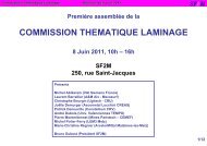 COMMISSION THEMATIQUE LAMINAGE - SF2M