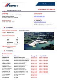 MONTREVEL EN BRESSE GISEMENT PRODUITS - Cemex