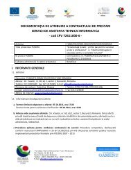 Documentatie asistenta tehnica informatica SDS + OE relicitare