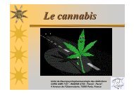 Le cannabis : composition du produit, modes d ... - SantÃƒÂ© Durable