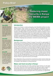 Reducing maize insecurity in Kenya: the WEMA project - African ...