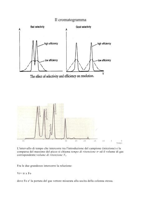 Gas cromatografia - Dipartimento di Chimica