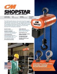 ShopStar electric chain hoist