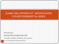 climat des affaires et opportunites d'investissement au niger