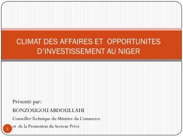 climat des affaires et opportunites d'investissement au niger