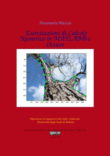 Esercitazioni di Calcolo Numerico in MATLABÂ® e Octave - Esercizi e ...