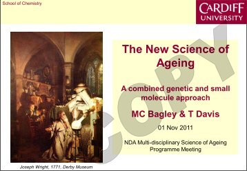 Bagley, MC & Davis, T - New Dynamics of Ageing