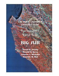 Big Sur (.pdf file) - Cal Poly Pomona