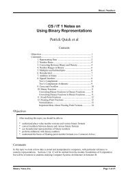 CS / IT 1 Notes on Using Binary Representations Patrick Quick et al