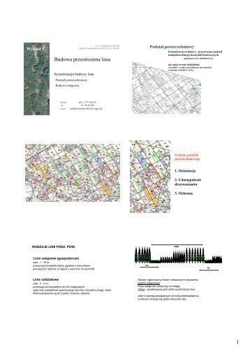 1 Budowa przestrzenna lasu - Stary serwis WydziaÅu LeÅnego SGGW