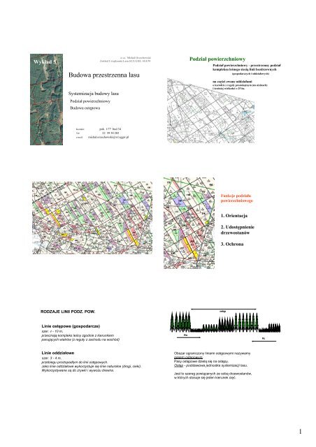 1 Budowa przestrzenna lasu - Stary serwis WydziaÅu LeÅnego SGGW