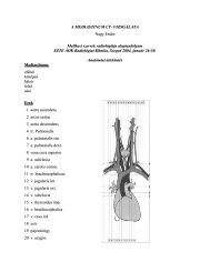 A MEDIASTINUM CT- VIZSGÃLATA