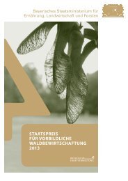 Staatspreis vorbildliche Wadlbewirtschaftung 2013 - Zentrum Wald ...