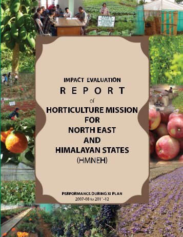Impact evaluation Report of HMNEH in XI th Plan - SFAC
