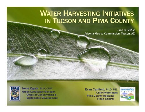 WATER HARVESTING INITIATIVES IN TUCSON AND PIMA COUNTY