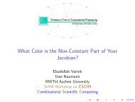 What Color is the Non-Constant Part of Your Jacobian? - Stce.rwth ...